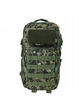 Рюкзак тактичний Dominator Velcro 30L Pixel-Camo - изображение 5