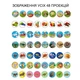 Детский Фонарик Проектор ручной интерактивная Игрушка для мальчиков и девочек Динозавры Животные Фрукты 6 дисков 48 рисунков - изображение 3