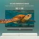 Кабель мультимедийный Display Port to Display Port 3.0m V1.2 DP102 Ugreen (10212) - изображение 7