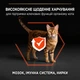 Сухой корм для кошек Purina Pro Plan Adult Vital Functions с лососем 400 г (7613036545037) - изображение 4