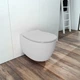 Унитаз подвесной DiMARCO DAMA di VENEZIA DM2I001WH - изображение 4