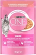 Вологий корм PURINA ONE Junior для кошенят і вагітних кішок з лососем та морквою в соусі 48шт*85г - зображення 1