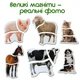 Магнитные пазлы Magdum Ферма (ML4031-19 EN) (4820215152761) - изображение 3