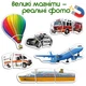 Набор магнитных пазлов Magdum Baby puzzle Транспорт 18 деталей (ML4031-24 EN) (4820215152884) - изображение 3