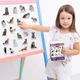Магнитный набор Magdum Породы кошек (ML4031-13 EN) (4820215152617) - изображение 9