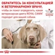 Сухой корм Royal Canin Gastrointestinal Dog – для собак при нарушениях пищеварения, 2 кг (39110201) - изображение 6