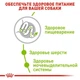 Сухой корм Royal Canin X-Small Adult – сухой корм для взрослых собак миниатюрных пород от 10 мес. до 8 лет, 3 кг (1003030) - изображение 4