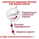 Сухий корм Royal Canin Medium Adult 7+ - сухий корм для собак середніх порід старше 7 років, 15 кг (3005150) - зображення 4