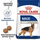 Сухой корм Royal Canin Maxi Adult - сухой корм для взрослых собак крупных пород от 15 мес., 15 кг (3007150) - изображение 2