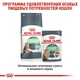 Вологий корм Royal Canin Digest Sensitive Gravy - консерви для котів з чутливим шлунком, у соусі, 85 г (4076001) - зображення 3
