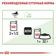 Вологий корм Royal Canin Digest Sensitive Gravy - консерви для котів з чутливим шлунком, у соусі, 85 г (4076001) - зображення 4