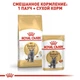 Влажный корм для взрослых кошек Royal Canin British Shorthair Adult, 85 г (20320010) - изображение 4