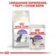 Сухой корм Royal Canin Sterilised 37 - для кастрированных кошек и стерилизованных кошек, 4 кг (2537040) - изображение 5