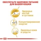Влажный корм Royal Canin Maine Coon - консервы для взрослых кошек породы мейн-кун в возрасте от 15 месяцев, 85 г (2031001) - изображение 4