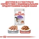 Влажный корм Royal Canin Sterilised Gravy - консервы для взрослых стерилизованных кошек, кусочки в соусе, 85 г (40950010) - изображение 5