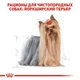 Вологий корм Royal Canin Yorkshire Terrier - консерви для дорослих собак породи йоркширський тер'єр від 10 міс (20400010) - зображення 3