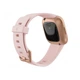 Смарт-часы Fitbit Versa 2 Petal/Copper Rose (FB507RGPK) - изображение 4