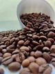 Кава в зернах Sidamo Grade 100% арабіка свіжообсмажена 1 кг - зображення 1
