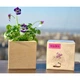 Живой куб Ecocube «Фиалка» (22142) - изображение 2
