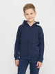 Детская толстовка с капюшоном Minoti 13Fleece 4 38450JNR 110-116 см Синяя (5063025050721) - изображение 1