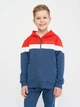 Детский спортивный костюм (толстовка + штаны) для мальчика Minoti 13Fleece 29 38475JNR 98-104 см Разноцветный (5063025053777) - изображение 4