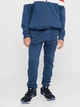 Детский спортивный костюм (толстовка + штаны) для мальчика Minoti 13Fleece 29 38475JNR 98-104 см Разноцветный (5063025053777) - изображение 5