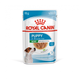 Влажный корм для собак Royal Canin WET MINI PUPPY для щенков мелких пород 85г - изображение 1