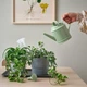 Лійка IKEA SOCKER 1 л світло-зелена (605.357.11) - изображение 2
