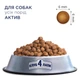 Сухий корм для собак Club 4 Paws Premium Active All Bbeeds Adult 14 кг - курка - изображение 2