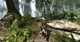 Assassin's Creed: The Rebel Collection (російська версія) Nintendo Switch - зображення 5