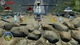 LEGO Jurassic World (російські субтитри) Nintendo Switch - изображение 2