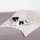 Плед для собак и кошек 100*75 см Trixie «Kenny» бежевый - изображение 2