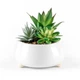 Горщик зі штучною рослиною MBM HOME DH-FLOWERS-16 GREEN/WHITE зелений/білий - зображення 1