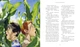 Тореадори з Васюківки. Велике ілюстроване видання. Книга перша/Нестайко Всеволод/9786175852484 - изображение 3