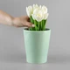 Горщик (ваза-кашпо) для квітів MBM HOME Зелений (DH-FLOWERS-29 GREEN) - зображення 5