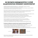 Биопротектор от куриных клещей, блох и вшей 15 мл - изображение 10