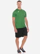 Футболка спортивная длинная мужская Joma Combi 100052.450 2XL-3XL Зеленая (9995139144101) - изображение 2