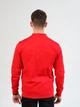 Спортивная кофта мужская Joma Grafity Iii 102866.600 M Красная (8445456435129) - изображение 2