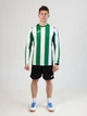 Спортивная кофта мужская Joma Inter Classic 103250.452 M Зеленая (8445757300157) - изображение 3