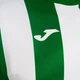Спортивная кофта мужская Joma Inter Classic 103250.452 M Зеленая (8445757300157) - изображение 6