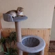 Устойчивая когтеточка для котиков, кошки с домиком гамаком 140*60*50см - изображение 5