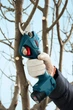 Аккумуляторный секатор Bosch Pro Pruner сет 2 акк. (06019K1021) - изображение 4