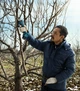 Аккумуляторный секатор Bosch Pro Pruner сет 2 акк. (06019K1021) - изображение 7