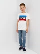 Подростковая футболка для мальчика Levi's LVB Sportswear Logo Tee 9E8568-001 134-140 см (3665115030839) - изображение 3