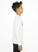 Подростковая футболка с длинными рукавами для мальчика Levi's LVB L/S Batwing Tee 9E8646-001 140 см (3665115032734) - изображение 7