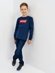 Подростковая футболка с длинными рукавами для мальчика Levi's LVB L/S Batwing Tee 9E8646-U09 146-152 см (3665115033243) - изображение 3