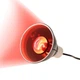 Инфракрасная нагревательная лампа Repti-Zoo Infrared Heat 50W (R63050) - изображение 5