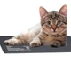 Нагрівальний мат водонепроникний Terrario Repti Pad PVC 30W 30x50см для тераріумів, котів, собак, птахів та рослин - зображення 10