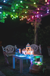 Girlanda LED Smart LED Twinkly Icicle RGB 190, BT+WiFi, Gen II, kabel przezroczysty IP44 (TWI190STP-TEU) - obraz 14