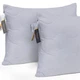 Набір антиалергенних подушок Eco Light Gray №9015 Eco-Soft мікросатин 50*70*2 - зображення 1